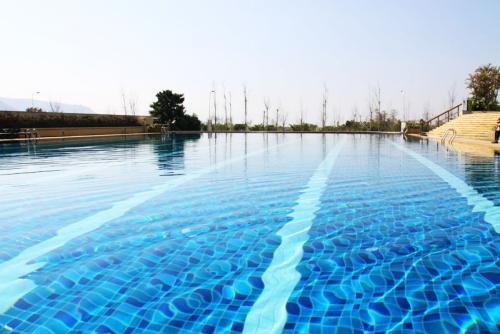游泳池水质的处理方法有哪些？